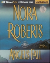 Cover art for Angels Fall