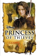 Cover art for Princess of Thieves