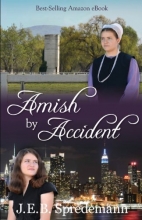 Cover art for Amish by Accident