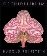 Cover art for Orchidelirium