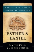 Cover art for Esther & Daniel (Brazos Theological Commentary on the Bible)
