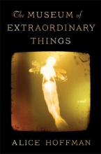 Cover art for The Museum of Extraordinary Things: A Novel