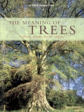 Cover art for The Meaning of Trees: Botany, History, Healing, Lore