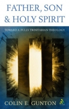 Cover art for Father, Son and Holy Spirit: Toward a Fully Trinitarian Theology