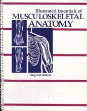 Cover art for Illustrated Essentials of Musculoskeletal Anatomy