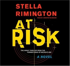 Cover art for At Risk