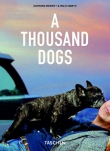 Cover art for A Thousand Dogs