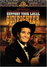 Cover art for Support Your Local Gunfighter