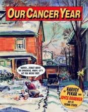 Cover art for Our Cancer Year
