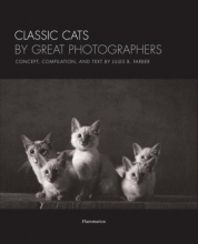 Cover art for Classic Cats by Great Photographers
