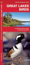 Cover art for Great Lakes Birds: A Folding Pocket Guide to Familiar Species (Pocket Naturalist Guide Series)