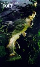 Cover art for Trout: The Complete Guide to Catching Trout with Flies, Artificial Lures and Live Bait (The Freshwater Angler)