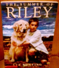 Cover art for The Summer of Riley