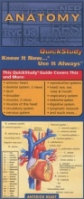 Cover art for Anatomy (Quickstudy: Academic)