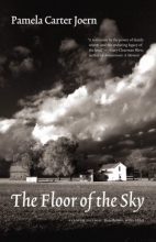 Cover art for The Floor of the Sky (Flyover Fiction)