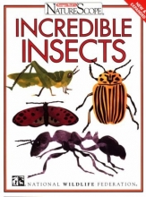 Cover art for Incredible Insects (Ranger Rick's Naturescope)