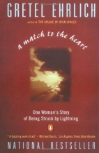 Cover art for A Match to the Heart: One Woman's Story of Being Struck By Lightning