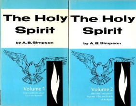 Cover art for The Holy Spirit (Power From on High: An Unfolding of the Doctrine of the Holy Spirit in the Old and New Testaments) (Volumes 1 & 2)