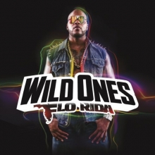 Cover art for Wild Ones