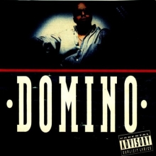 Cover art for Domino