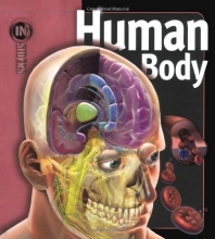 Cover art for Human Body (Insiders)