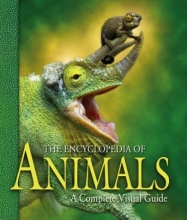 Cover art for The Encyclopedia of Animals: A Complete Visual Guide