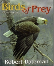 Cover art for Birds of Prey - An Introduction
