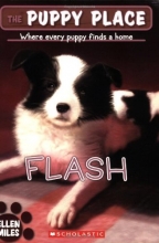 Cover art for The Puppy Place #6: Flash