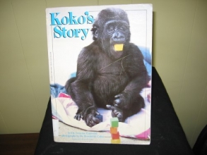 Cover art for Koko's Story