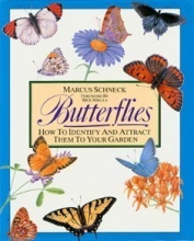Cover art for Butterflies: How to Identify and Attract Them to Your Garden