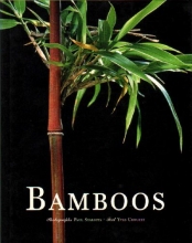 Cover art for Bamboos (Evergreen Series)