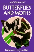 Cover art for Butterflies and Moths: A Guide to the More Common American Species (Golden Guides)