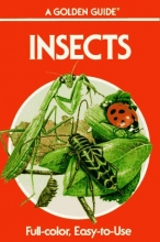 Cover art for Insects: A Guide to Familiar American Insects (Golden Guides)
