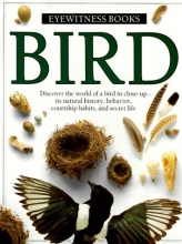 Cover art for Bird (Eyewitness Books)