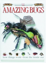 Cover art for Amazing Bugs (Inside Guides)