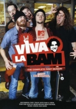 Cover art for MTV - Viva La Bam - The Complete First Season