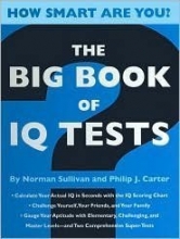 Cover art for The Big Book of IQ Tests (How Smart Are You?)