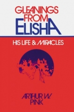 Cover art for Gleanings from Elisha: His Life and Miracles