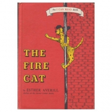 Cover art for The Fire Cat
