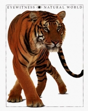 Cover art for Eyewitness Natural World (Companion to the Pbs Series)