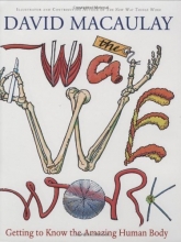 Cover art for The Way We Work: Getting to Know the Amazing Human Body