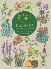 Cover art for Big Book of Plant and Flower Illustrations (Dover Pictorial Archive)