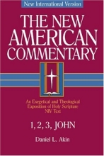 Cover art for The New American Commentary Volume 38 - 1,2,3 John