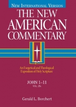 Cover art for The New American Commentary Volume 25A - John I-II