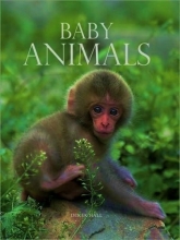 Cover art for Baby Animals