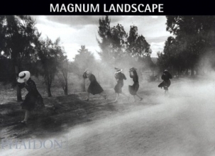 Cover art for Magnum Landscape