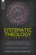 Cover art for Systematic Theology (Volume 2): The Beauty of Christ - a Trinitarian Vision