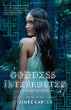 Cover art for Goddess Interrupted