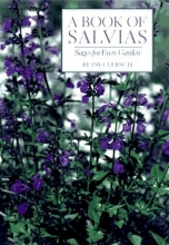 Cover art for A Book of Salvias: Sages for Every Garden