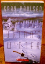 Cover art for Brian's Winter